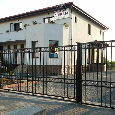 Pensiunea Aurelia Siria Bagian luar foto