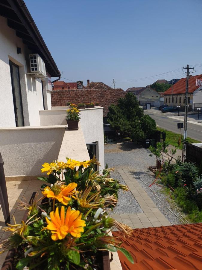 Pensiunea Aurelia Siria Bagian luar foto